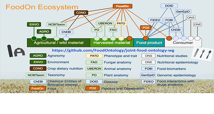 Connecting Food Ontologies And Graph Databases (MSc/BSc) - WUR